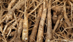 <b>中药荠苠的分布环境及其药用价值分析！</b>