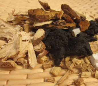 中药方剂白术茯苓汤的配方组成及白术茯苓汤的功效与用法！