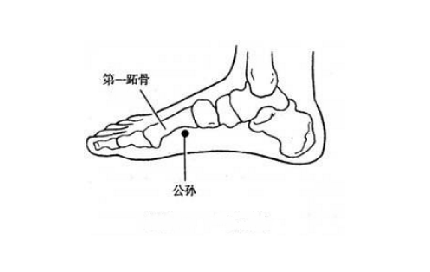 公孙穴的位置在哪里