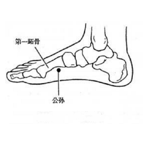 公孙穴的穴位位置及按摩公孙穴的功效与作用有哪些？