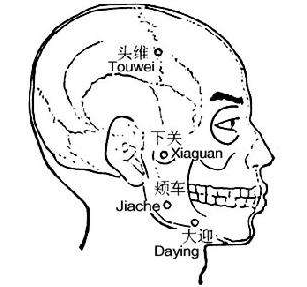颊车穴的功效