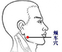 颊车穴的位置及其按摩颊车穴瘦脸的方法！