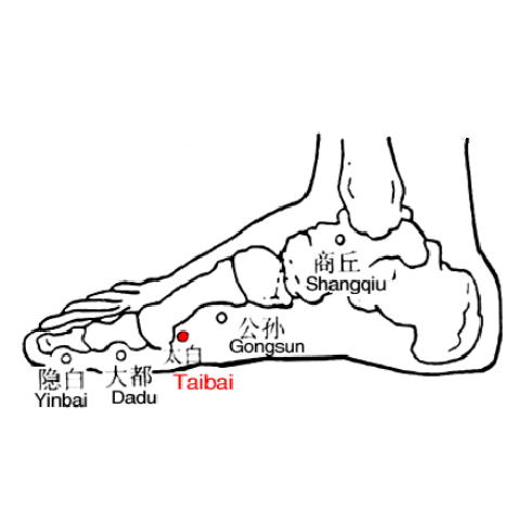 太白穴的位置及太白穴的