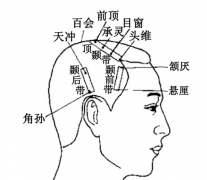 头维穴的位置及其头维穴的作用详解！