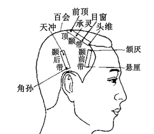 头维穴名解