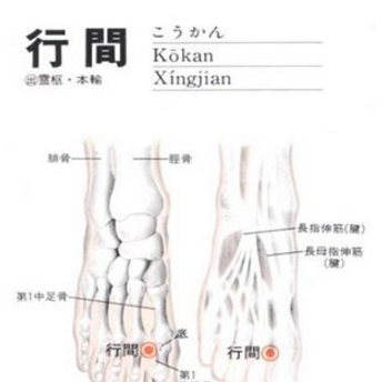 行间穴的准确位置及按摩行间穴的功效与作用有哪些？