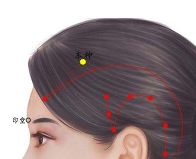 本神穴的准确位置