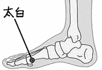 太白穴位置