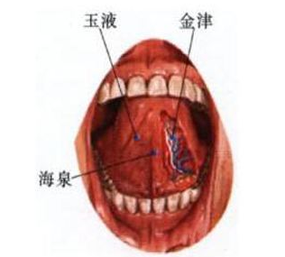 玉液穴示意图