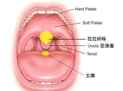 玉液穴的主治