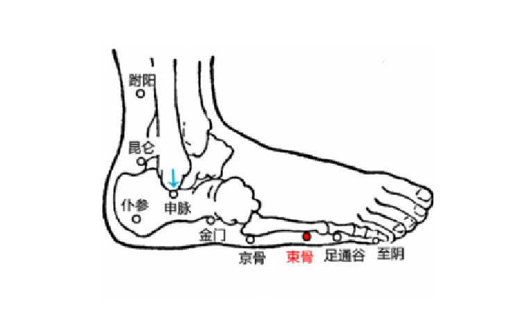 束骨穴的功效与作用