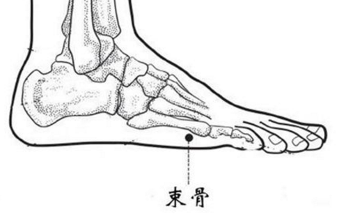 束骨穴的图片