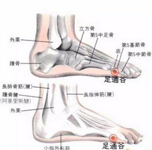 足通谷穴的准确位置及按摩足通谷穴的功效与作用有哪些？