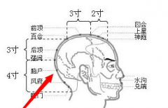 脑户穴疼痛是什么原因呢？脑户穴的按摩手法