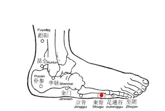 束骨穴