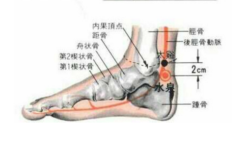 水泉穴的图片