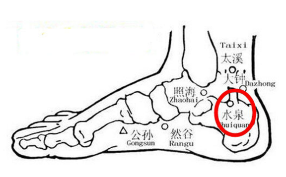 水泉穴的准确位置
