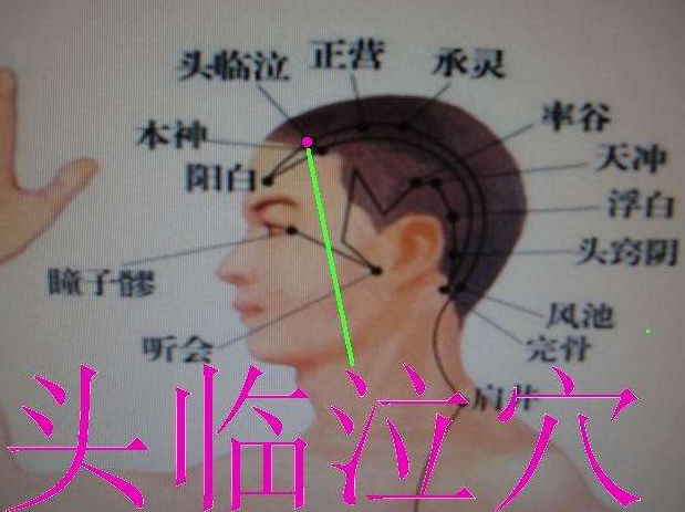 头临泣穴示意图