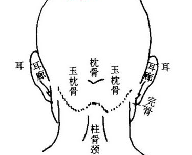 完骨穴主治病症