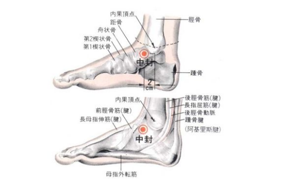 中封穴的图片