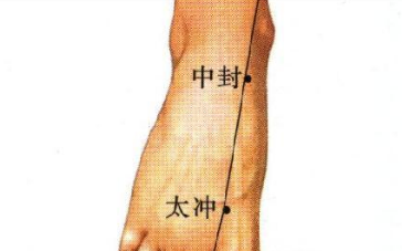 中封穴的功效与作用