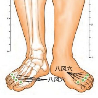 八风穴的准确位置及按摩八风穴的功效与作用有哪些？