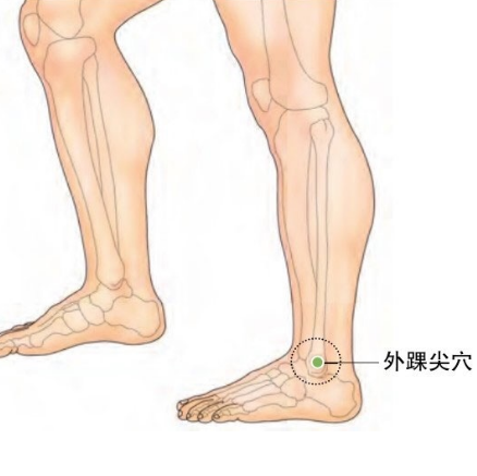 外踝尖穴的准确位置及其按摩方法有哪些？