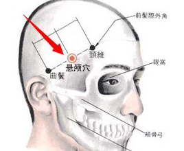 悬颅穴位位置