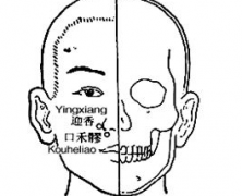 口禾髎穴的位置及其按摩口禾髎穴的好处！