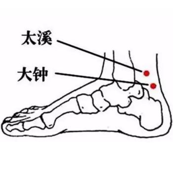 大钟穴的准确位置及按摩大钟穴的功效与作用有哪些？