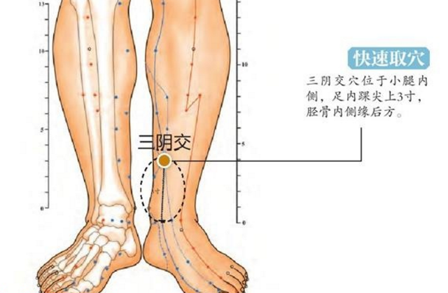 三阴交穴的取穴方法