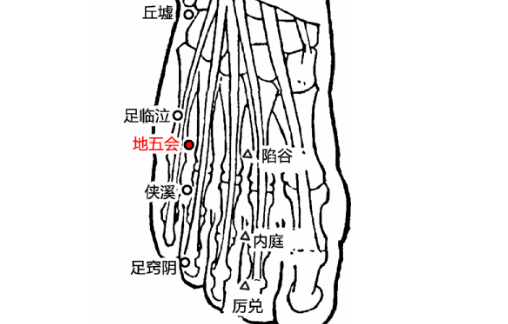 地五会穴的图片