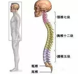 棘突骨折