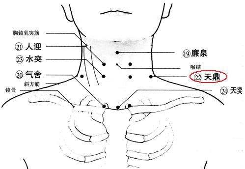 天鼎穴的功效