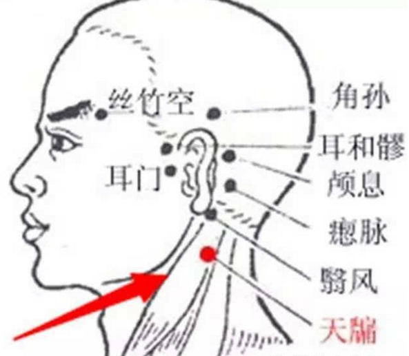 天牖穴示意图