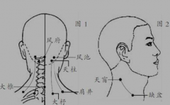 天窗穴——长在身上的晕车药，天窗穴位置怎么找？