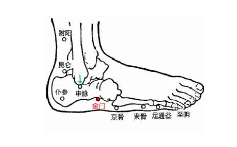 金门穴的准确位置