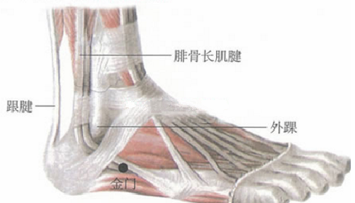 金门穴位置及作用