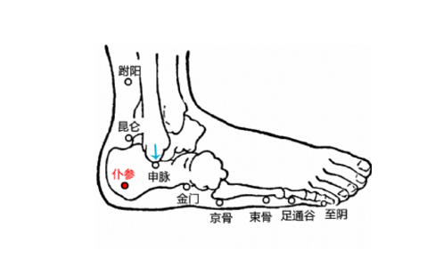 仆参穴位置