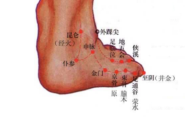 仆参穴的标准定位