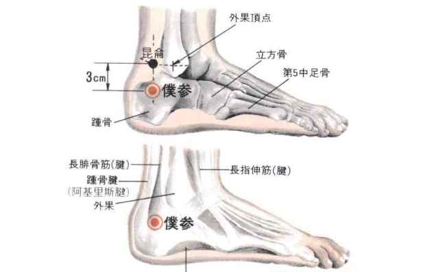 仆参穴的功效与作用