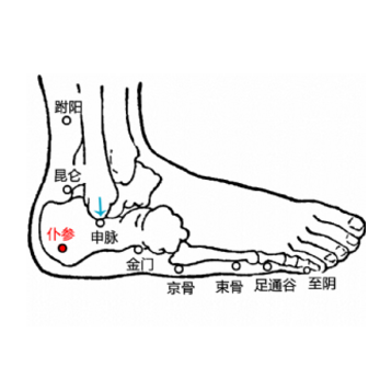 仆参穴疼是什么原因？它的准确位置及其功效与作用有哪些？