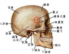 人体“死穴”太阳穴疼痛的原因及缓解方法有哪些？太阳穴不可击打