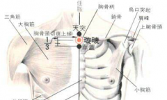 璇玑穴痛是什么原因?璇玑穴的功效与作用介绍