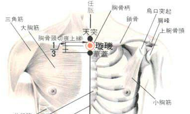 璇玑穴示意图