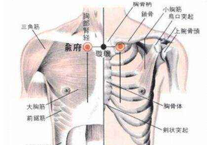 俞府穴示意图