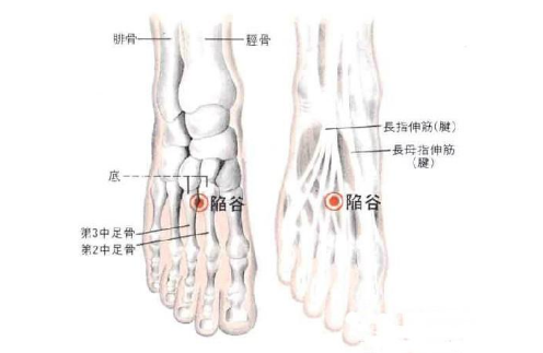 陷谷穴疼痛是什么原因