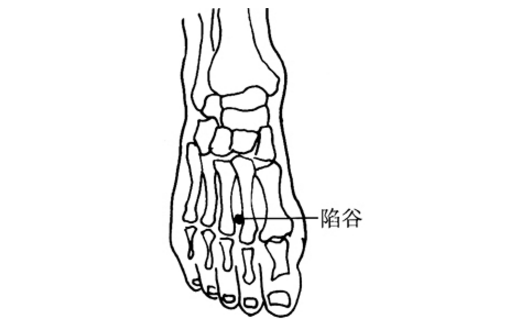 陷谷穴的功效与作用