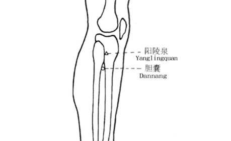 胆囊穴的按摩方法