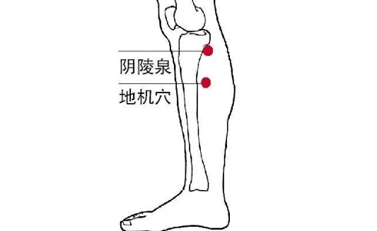 地机穴能治疗糖尿病？